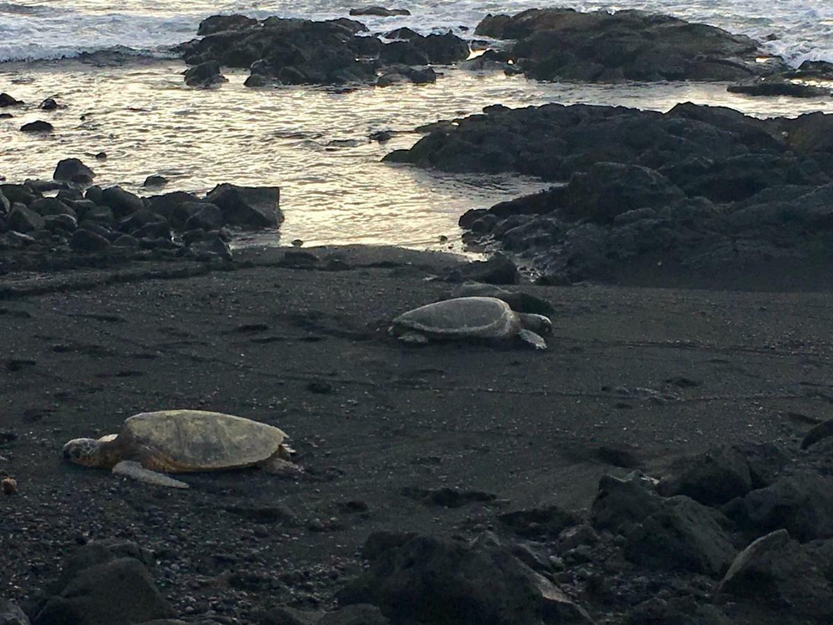 Mauna Kai'Iki Pahala Экстерьер фото